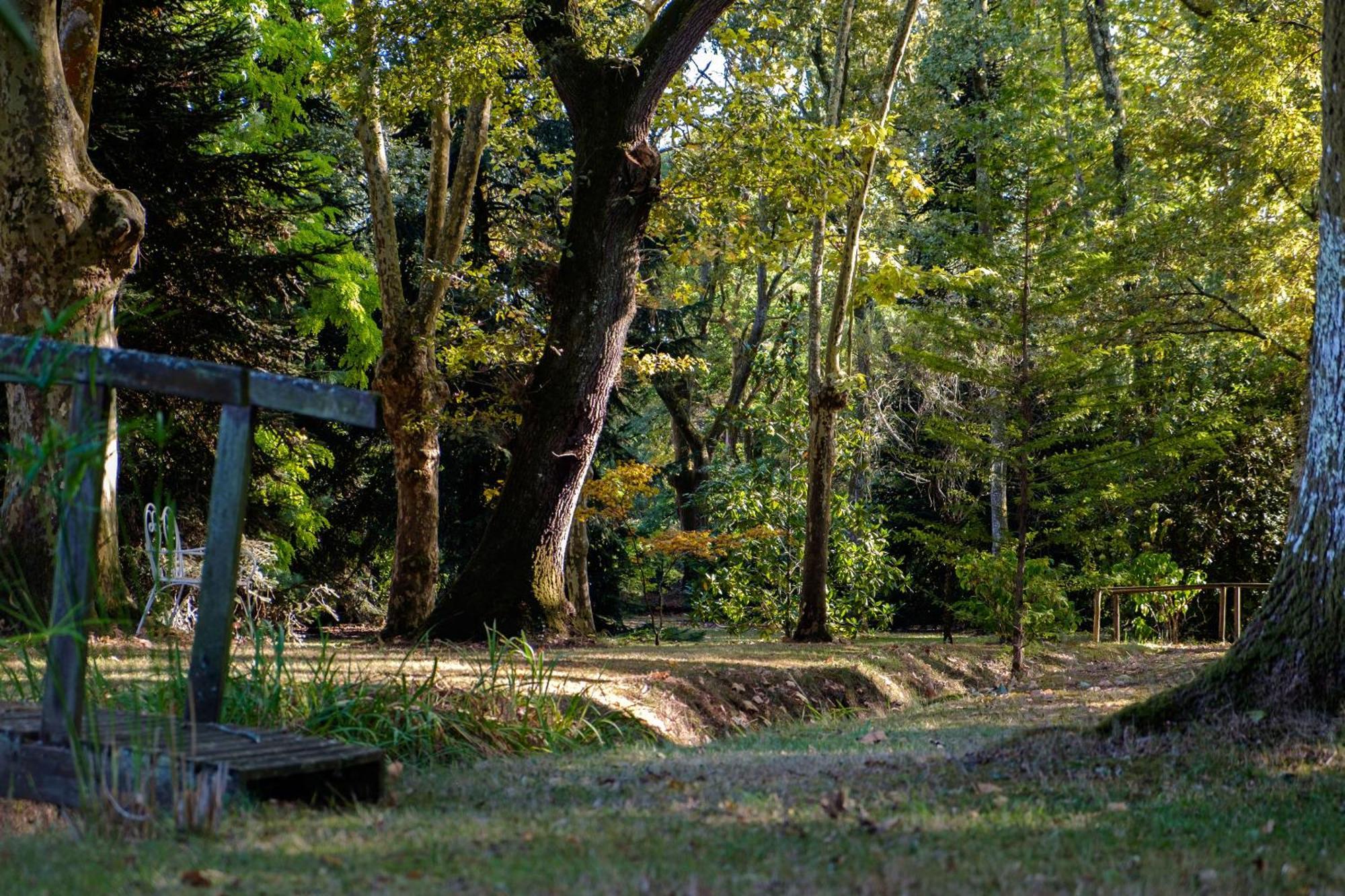 Parc De L'Aiguade Bed & Breakfast Saint-Paul-les-Dax Bagian luar foto