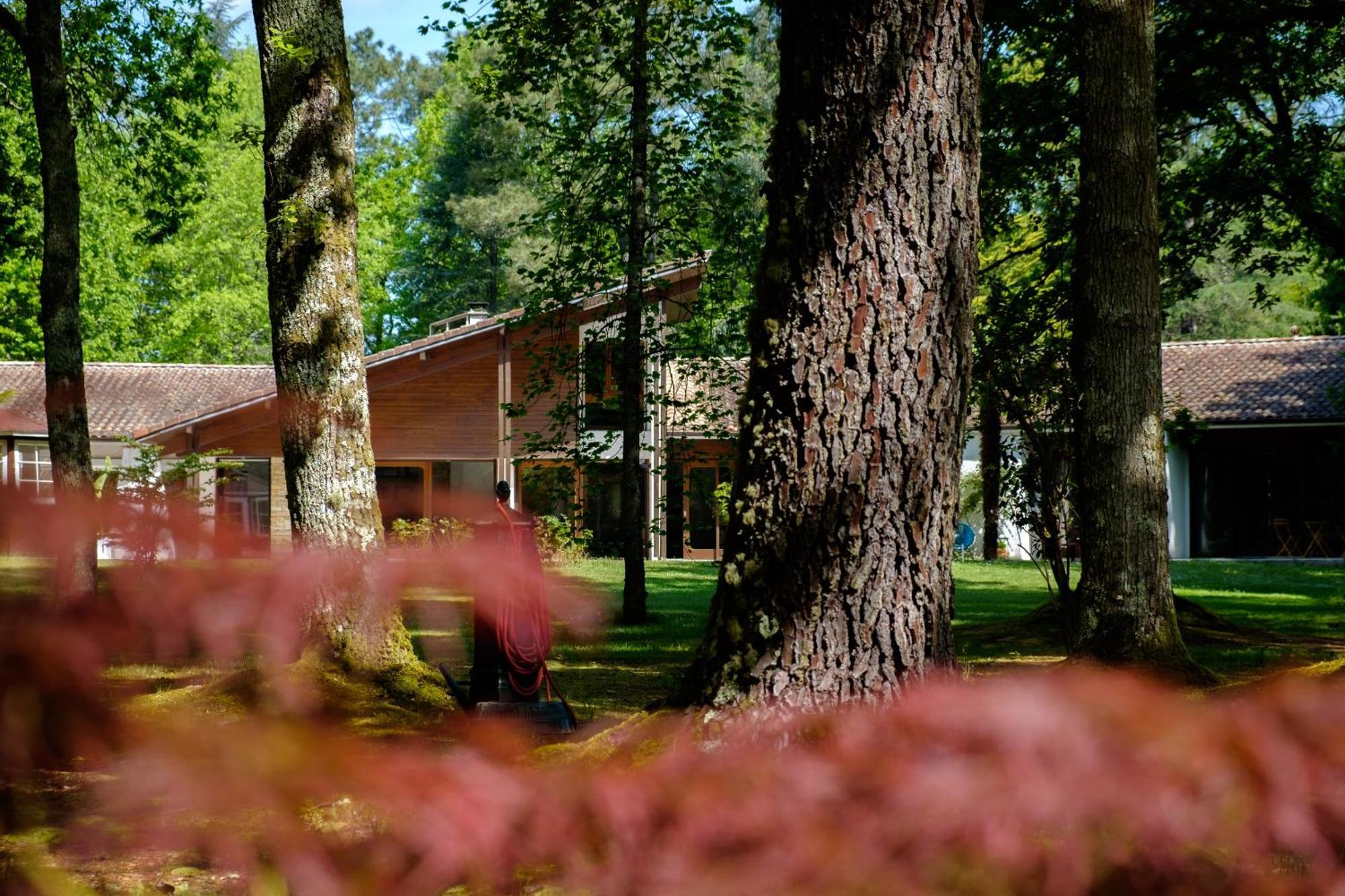 Parc De L'Aiguade Bed & Breakfast Saint-Paul-les-Dax Bagian luar foto
