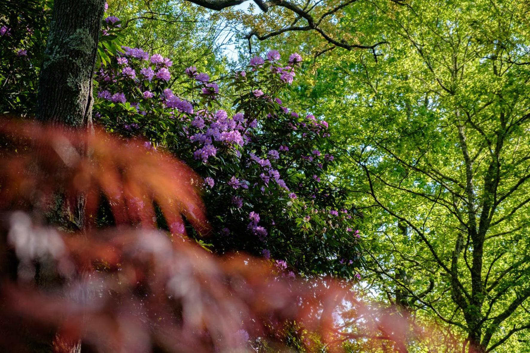 Parc De L'Aiguade Bed & Breakfast Saint-Paul-les-Dax Bagian luar foto