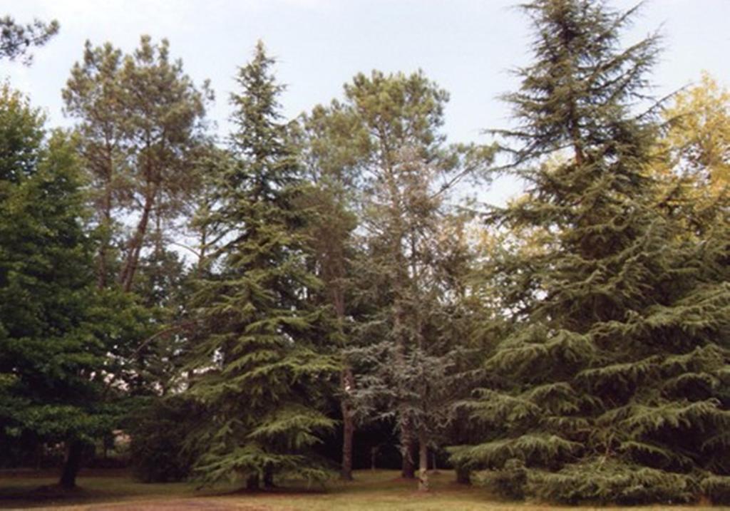 Parc De L'Aiguade Bed & Breakfast Saint-Paul-les-Dax Bagian luar foto